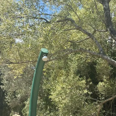 Neuve Pinarello Avec Piscine Privee, A 450m